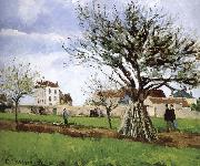 Camille Pissarro Pang map of apple Schwarz Sweden oil painting reproduction